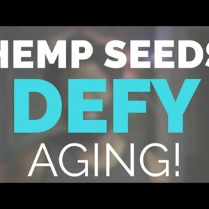 9 Facts About HEMP SEED OIL