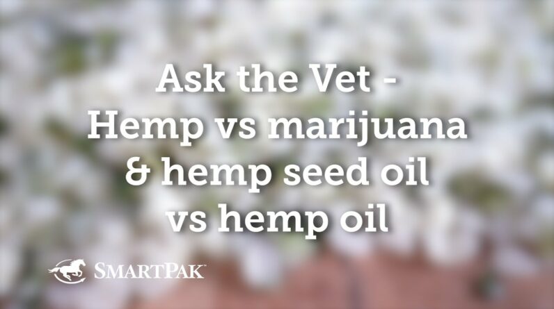 Ask the Vet - Hemp vs marijuana and hemp seed oil vs hemp oil