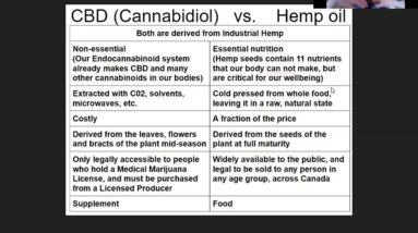 CBD Oil vs Hemp Seed Oil