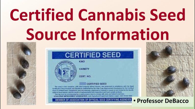 Certified Cannabis Seed Source Information