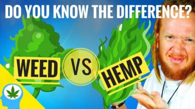 🤔Is Hemp Different From Weed?