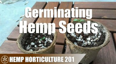 Germinating & Grow Seeds Into Seedlings