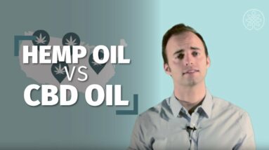 Hemp Oil Vs. CBD Oil