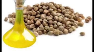 Hemp Seed Oil - Uses, Side Effects and Skin Benefits