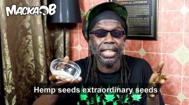 Hemp Seeds