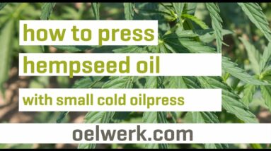 hempseed oil pressing - OW100s-inox