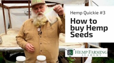 How to buy Hemp Seeds - Hemp Farming Quickie #3