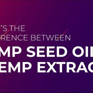 Indivita - The difference between hemp seed oil vs hemp extract oil