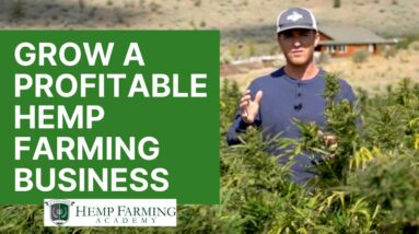 My Hemp Farming Story - How to start a profitable CBD hemp farm in 2021