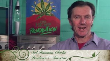 The Hemp Solution   Chapter 1   Introduction