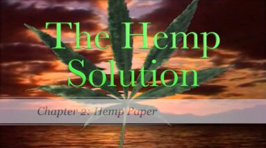 The Hemp Solution - Chapter 2 - Hemp Paper