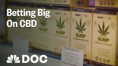 Betting Big On CBD: How To Start A Business Few People Understand | NBC News