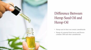 Educational Series (8 of 31): Difference Between Hemp Seed Oil and Hemp Oil