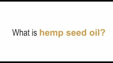 What Is Hemp Seed Oil?