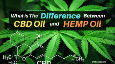 What is The Difference Between CBD Oil and Hemp Oil