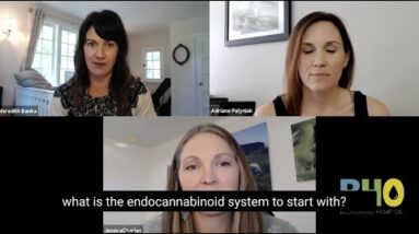 Ep5 Your Endocannabinoid System The Basics Part 1